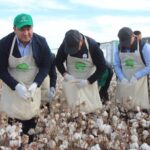 АЛ ОБЛЫС ӘКІМІ АҚ АЛТЫНДЫ БҰРЫН СОҢДЫ «ТІРІДЕЙ» «ҚОЛЫНА ҰСТАП КӨРМЕГЕН»